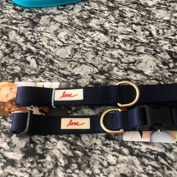 Ellen Degeneres Other Dog Collar Ed By Ellen Poshmark